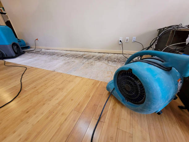 Professional Water Damage Repair technician working in Clifton, AZ